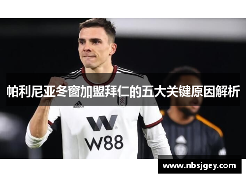 帕利尼亚冬窗加盟拜仁的五大关键原因解析